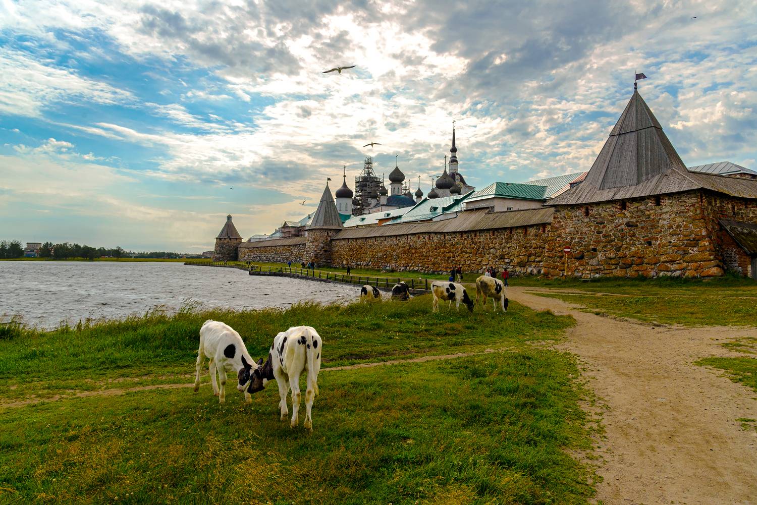 , Юрий Матвеев