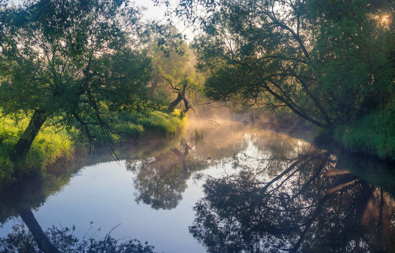 река, рассвет, лето, Свистков Александр