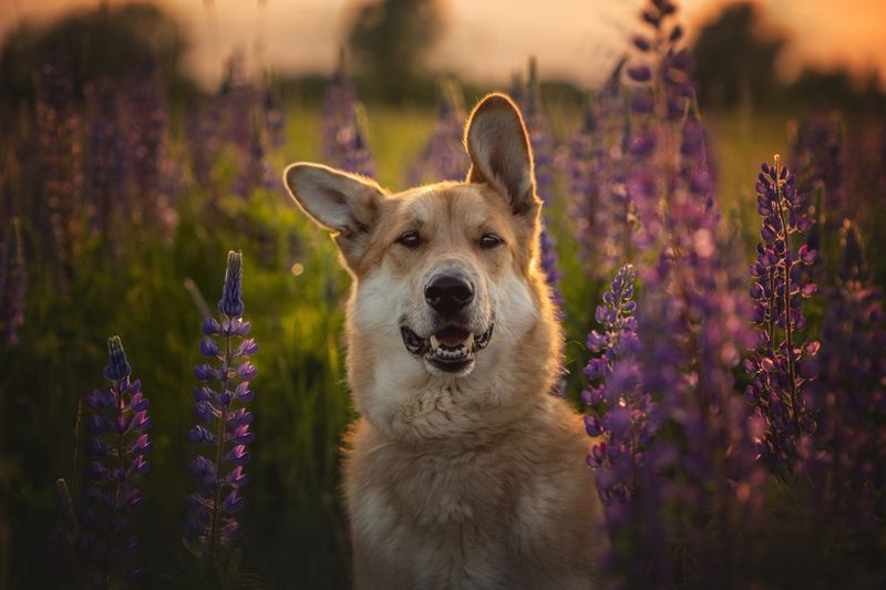 Наяшка фото превью