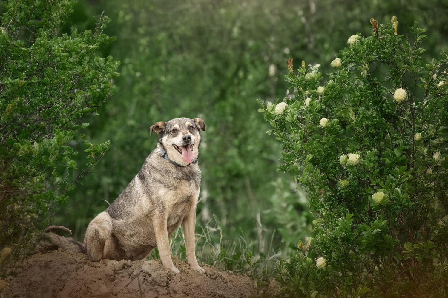 , Елена Самусенкова