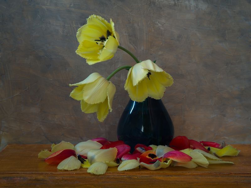 Лепестки. фото превью