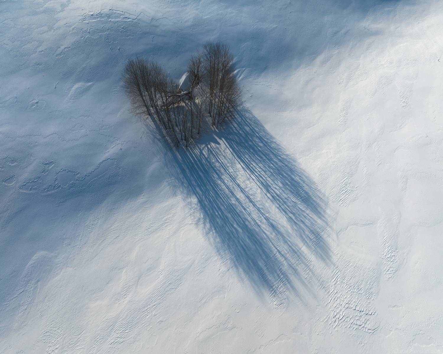 , Даниил Коржонов