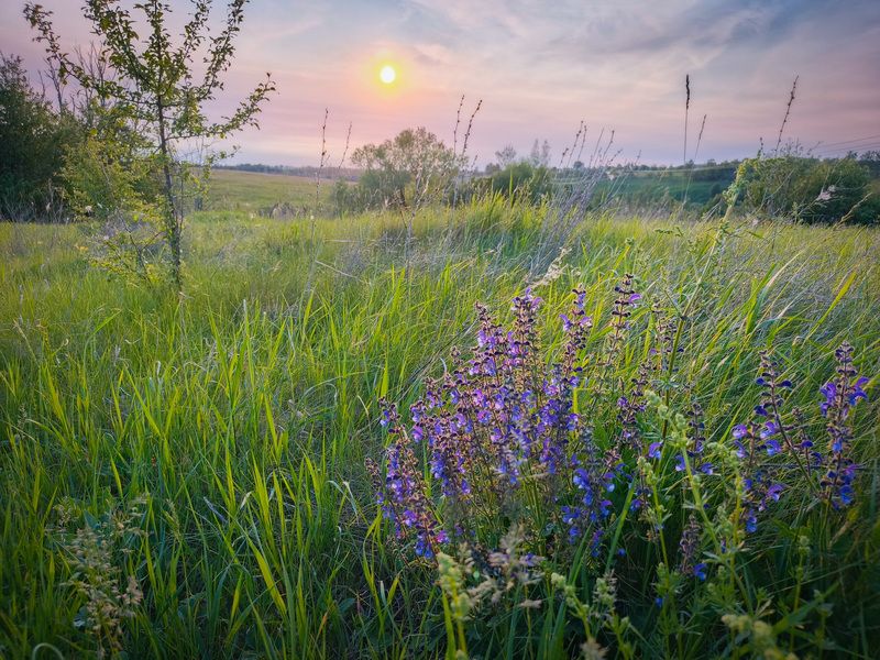 фото превью