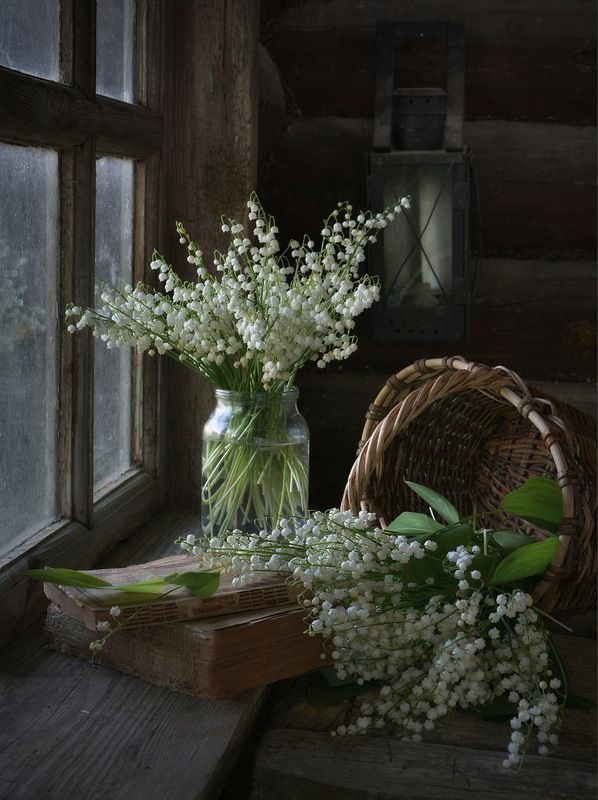 Ландыши фото превью