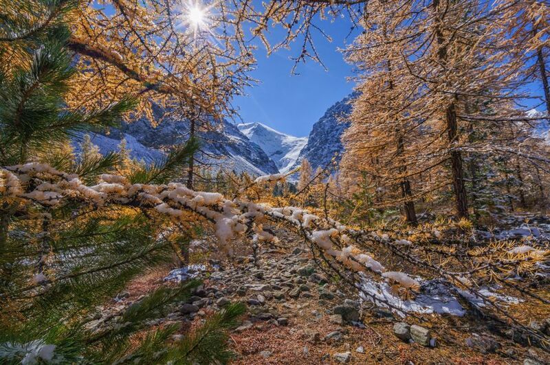 Россия, Алтай,пейзаж, природа,Актру, осень, снег Первый снег в Актру фото превью