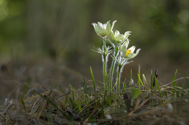 Утренние потягушки фото превью