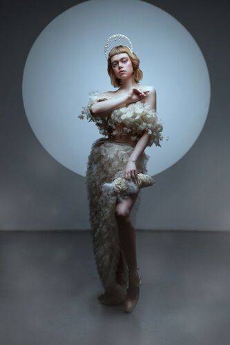 Царевна Лебедь. современное видение