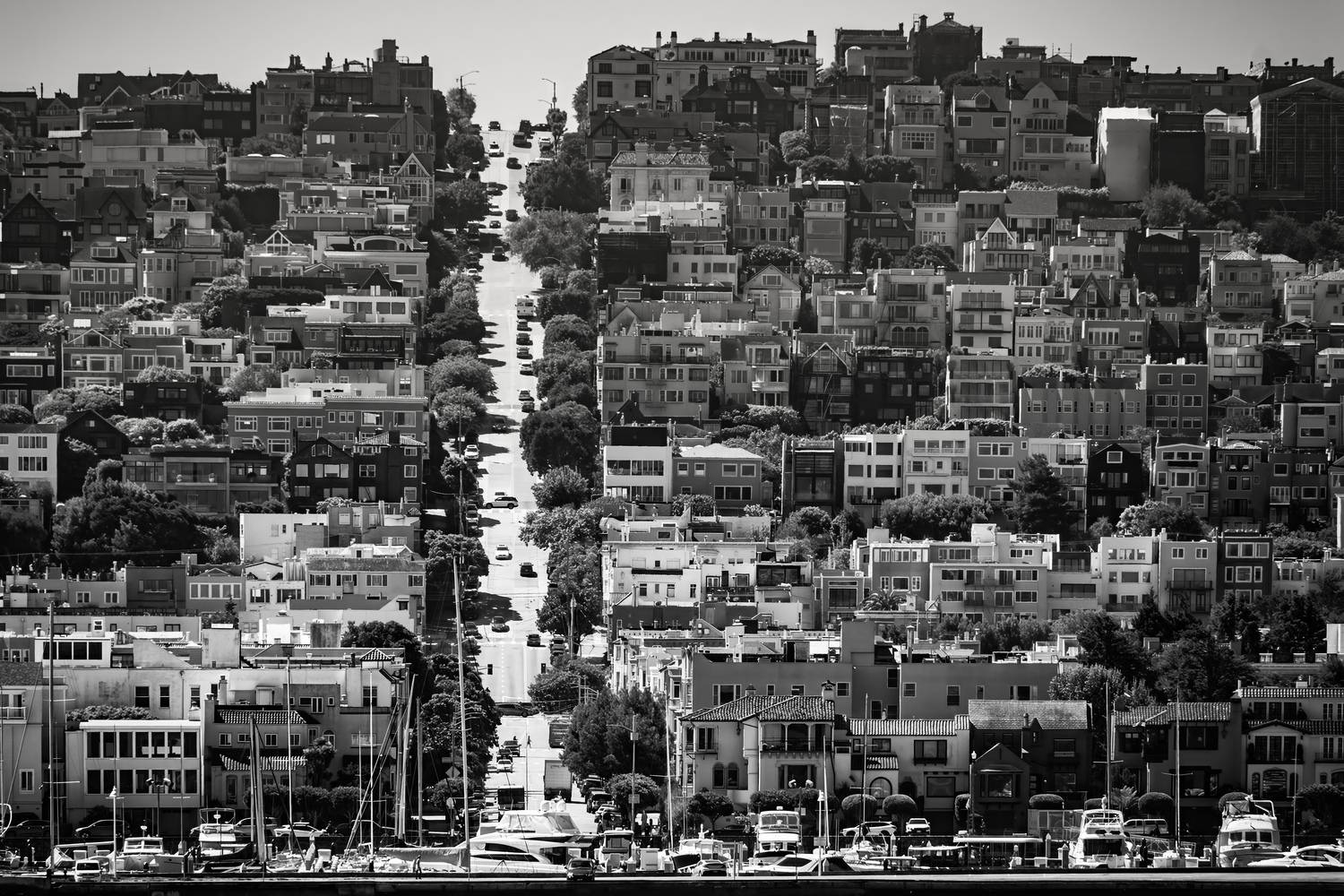 #urban, area, #city, #neighbourhood, #residential, area, #apartment, #monochrome, photography, #urban, design, #metropolitan, area, #black, and, white, #monochrome, Andrey Shpek