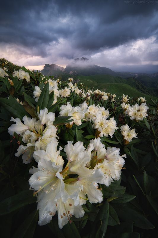 тхач, большой тхач, фототур, яковлевфототур, кавказ, адыгея Большой Тхач фото превью
