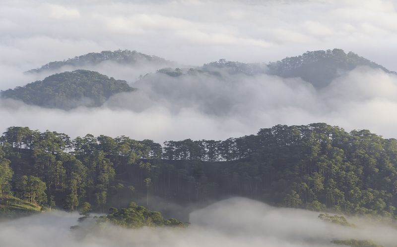 Clouds over pine hill in Dalat, Vietnam at dawn фото превью