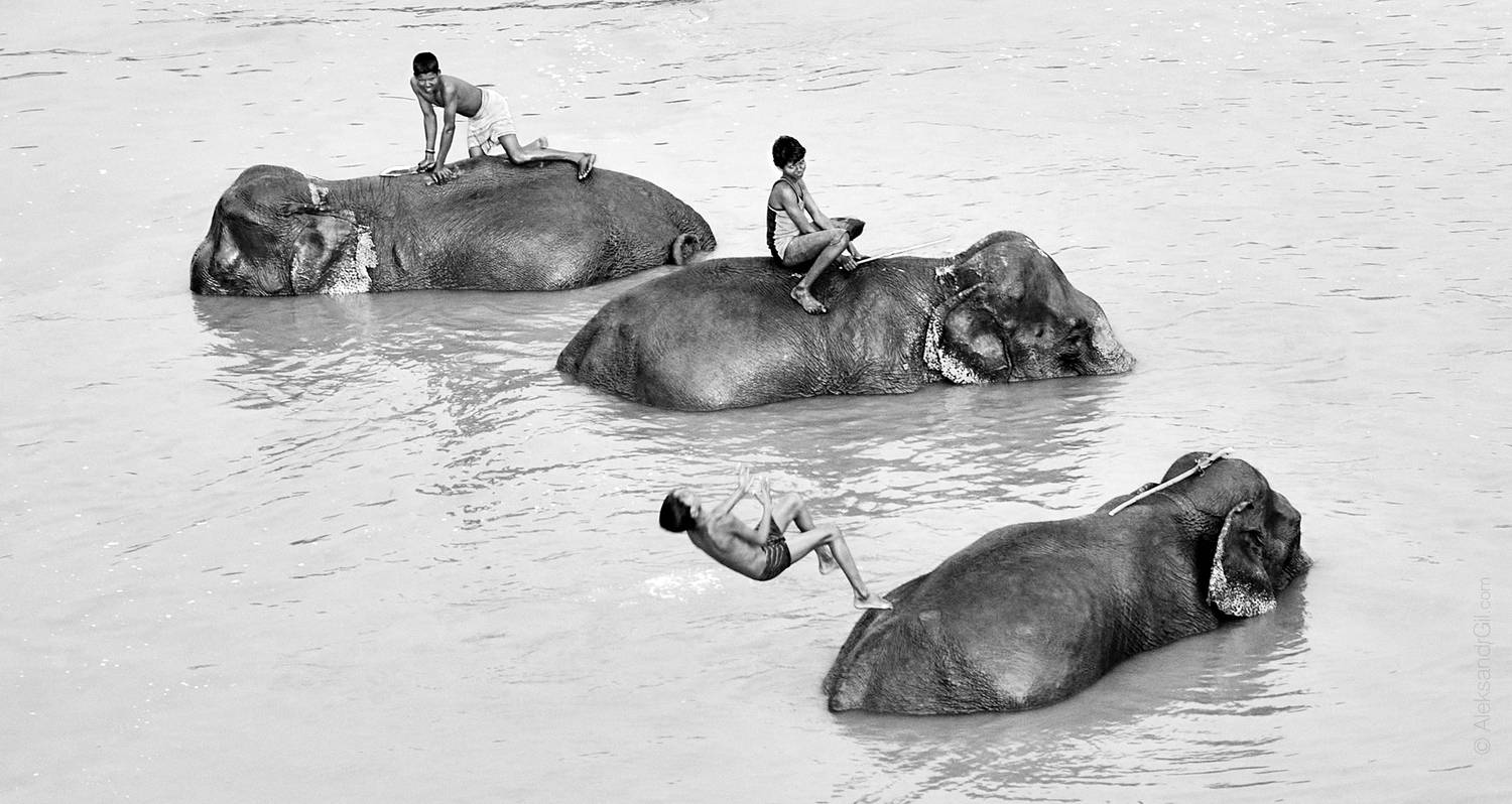 , Гиль Александр