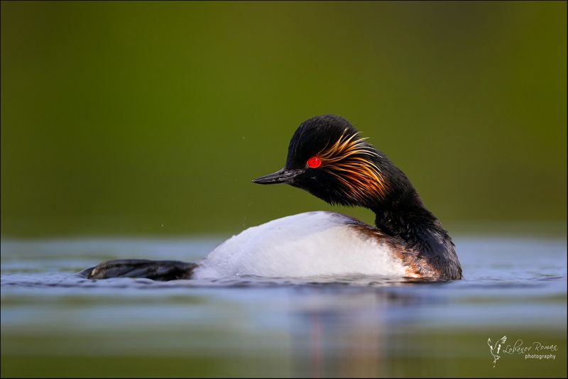 Пляжный сезон открыт фото превью