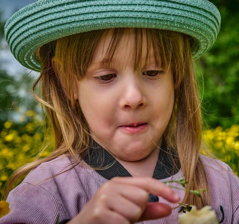 Первый день лета. фото превью