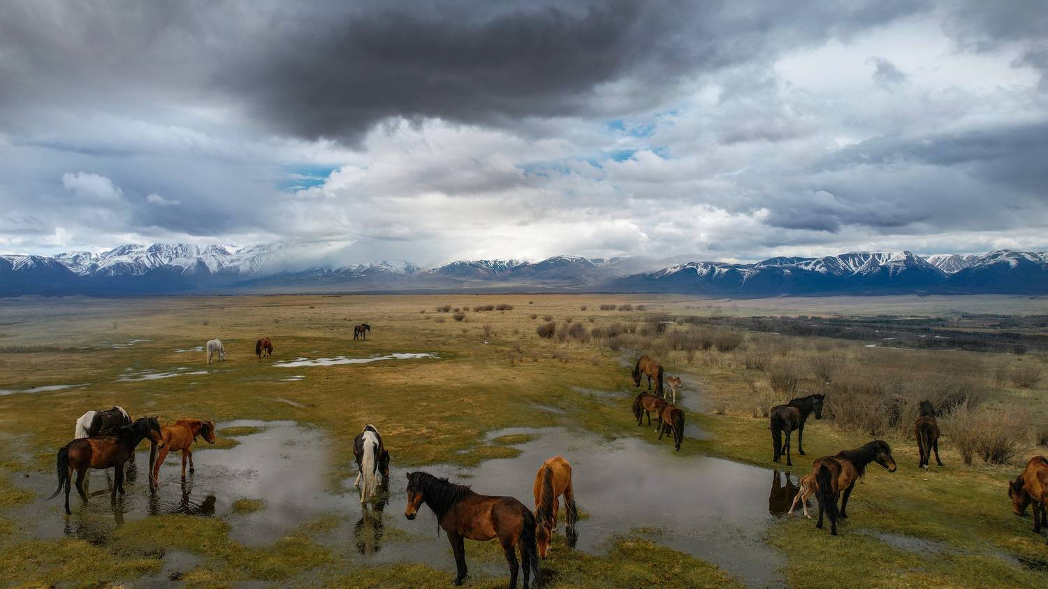 , Константин Буркин