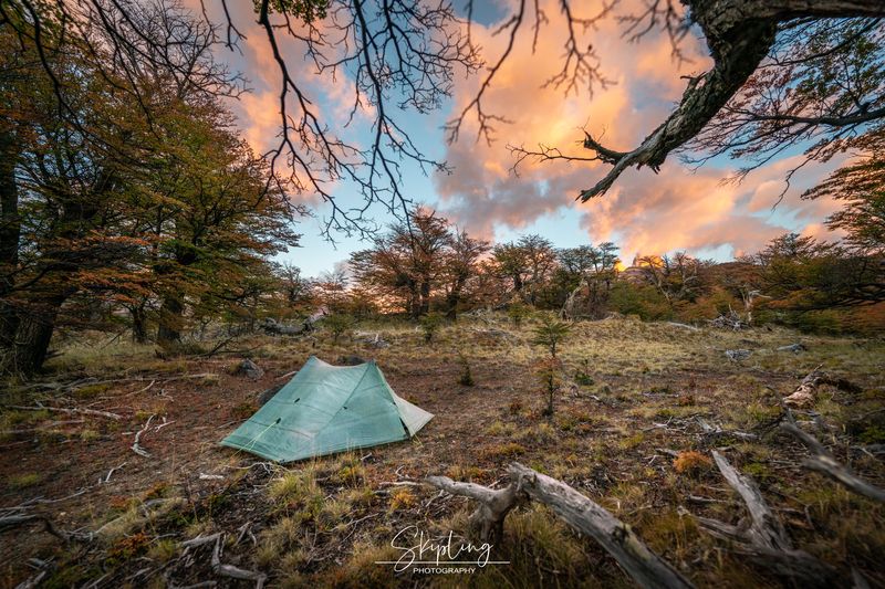 patagonia В лесах Патагонии фото превью