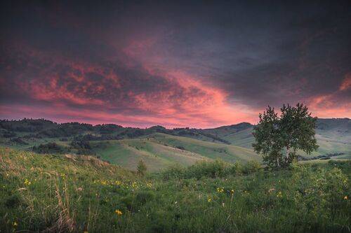 Горный Алтай