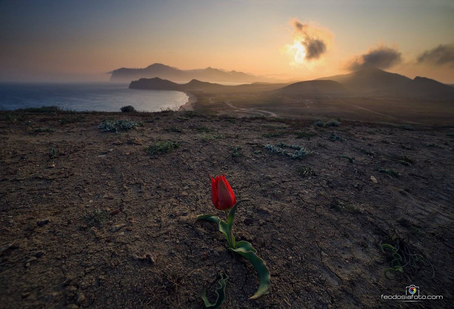 Крым, Андрей Шелякин