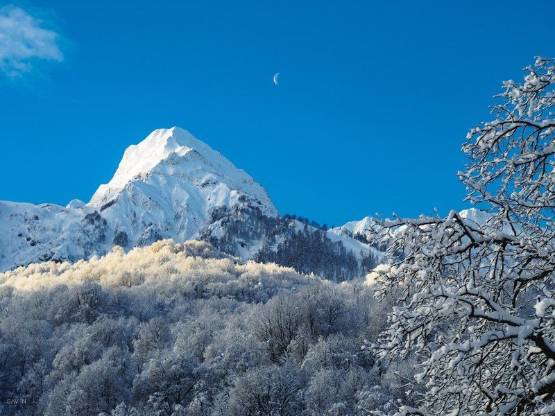 Сочи, Красная Поляна, море, горы, снег, пейзаж Из поездки в Сочи фото превью