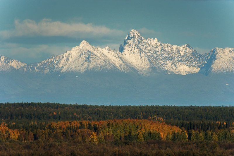 Флагман тайги фото превью