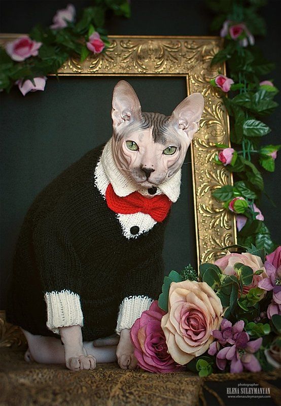 За милых дам...)) фото превью