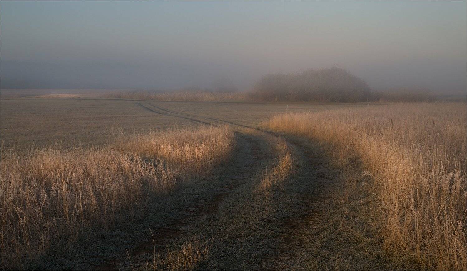 , Николай Шахманцир