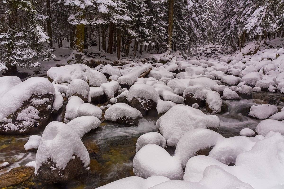 кавказ, домбай, теберда, весна, ручей, ельник, карачаево-черкессия, кчр, Кирилл Уютнов
