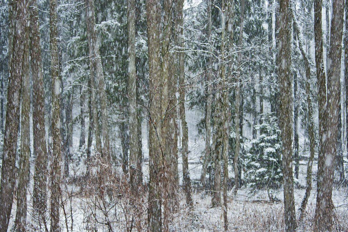 , Валерий Кондратов