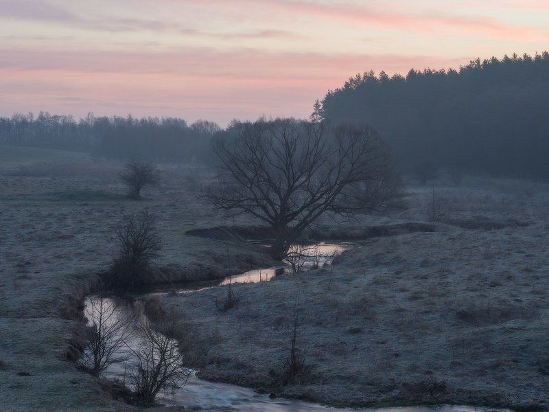 Утро в Марте... фото превью