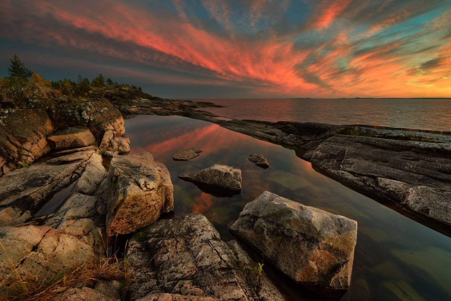 , Максим Евдокимов ( www.wildphotorus.ru )