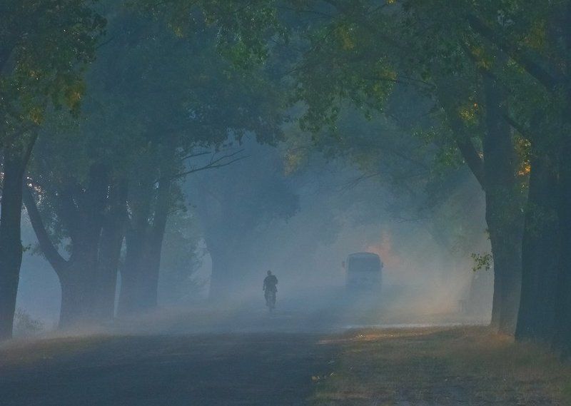 У каждого своя дорога фото превью