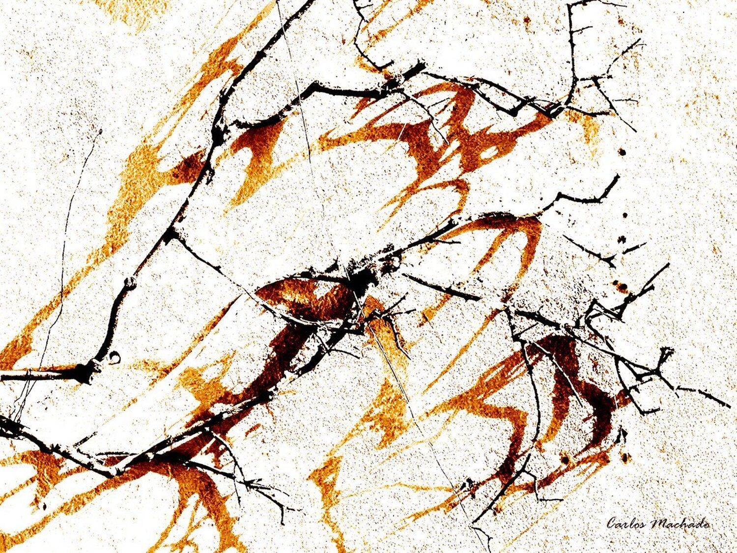 Macro, Nature, Still life, Other,, Carlos Machado