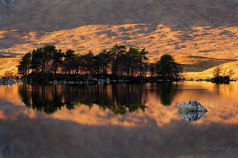 Stone in the water фото превью