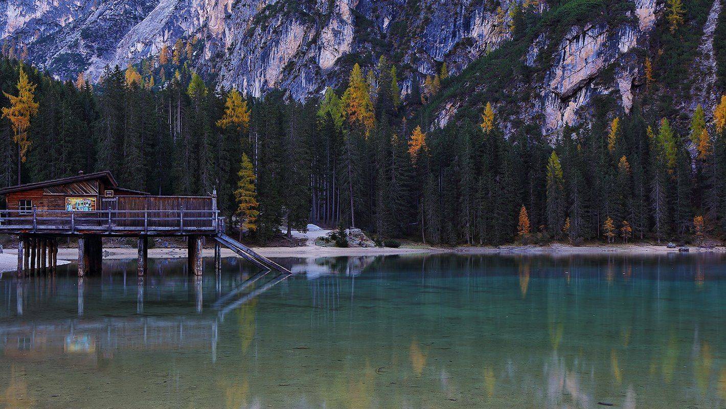 , Игорь Дубровский