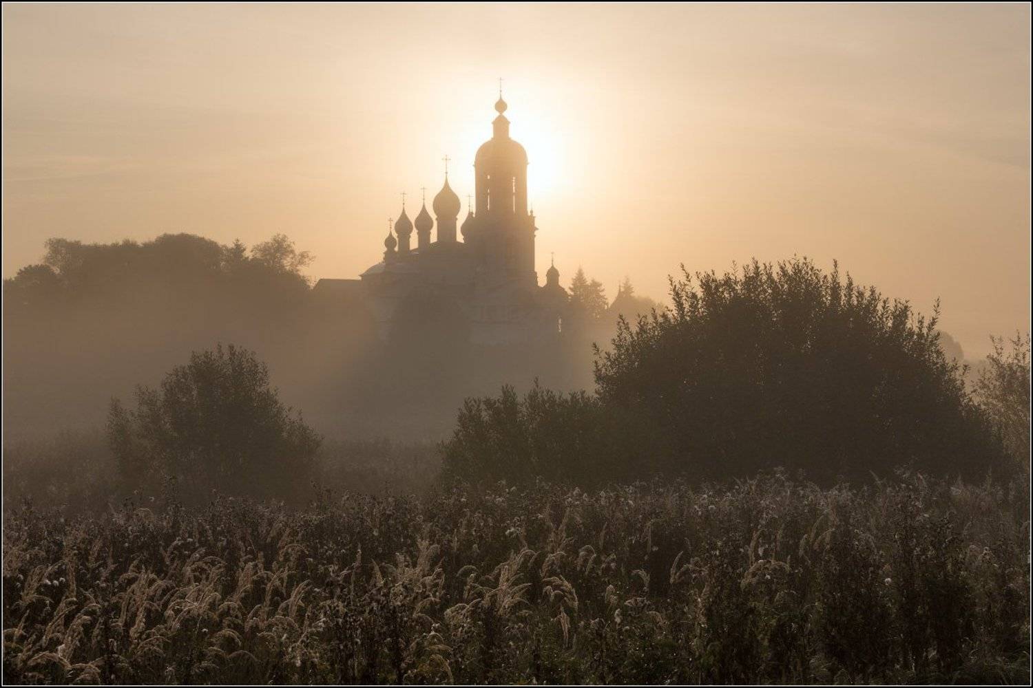 Россия, Ивановская обл, Погост Крест, Антушково, Александр Марецкий
