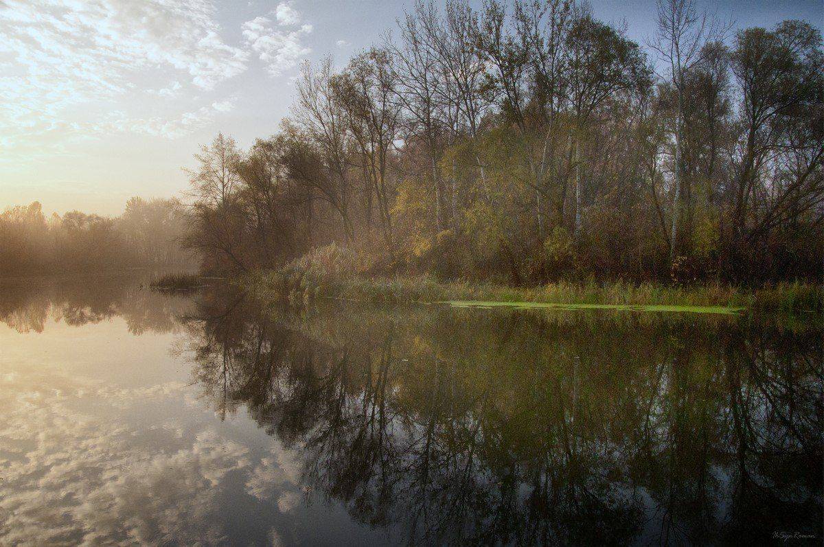 , Роман Красов