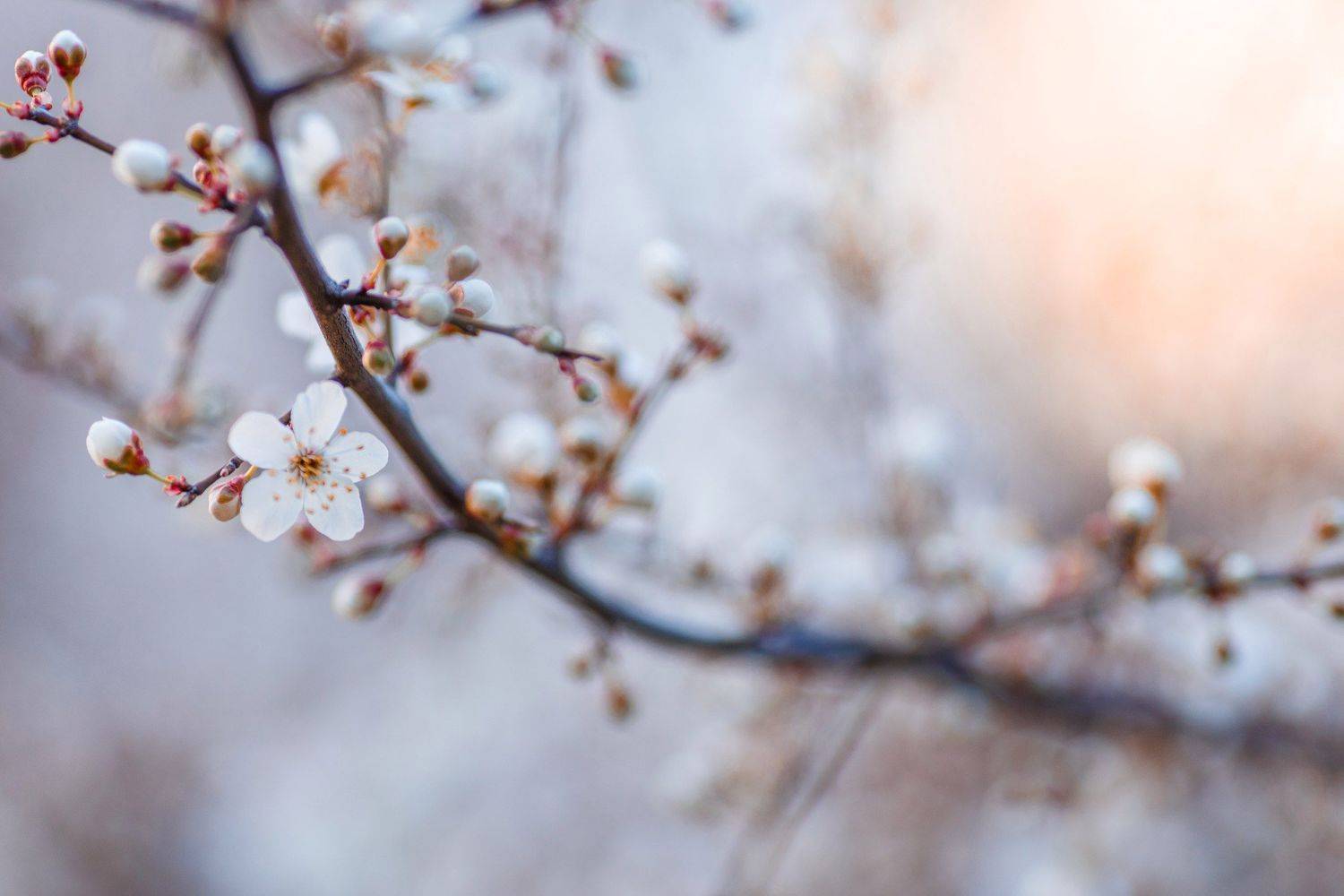 , Владимир Осауленко