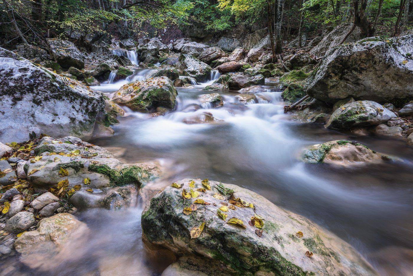 , Dmitriy  Baginskiy