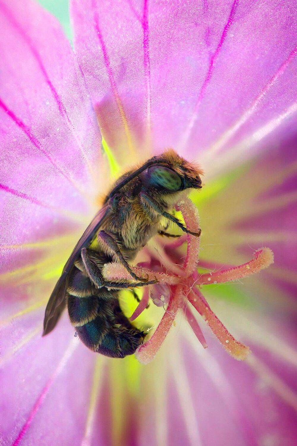 , Кузнецов Дмитрий