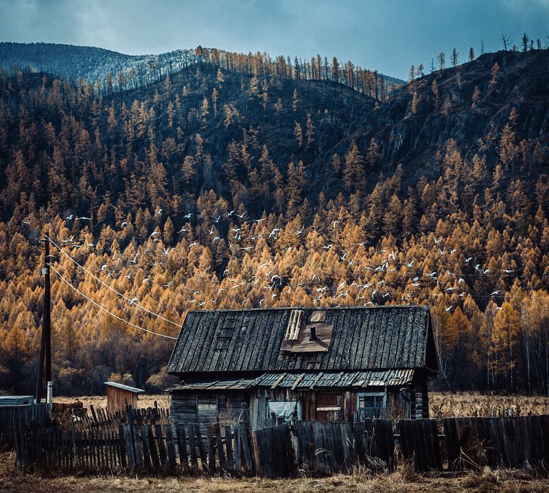 В глубинке.Алтай фото превью
