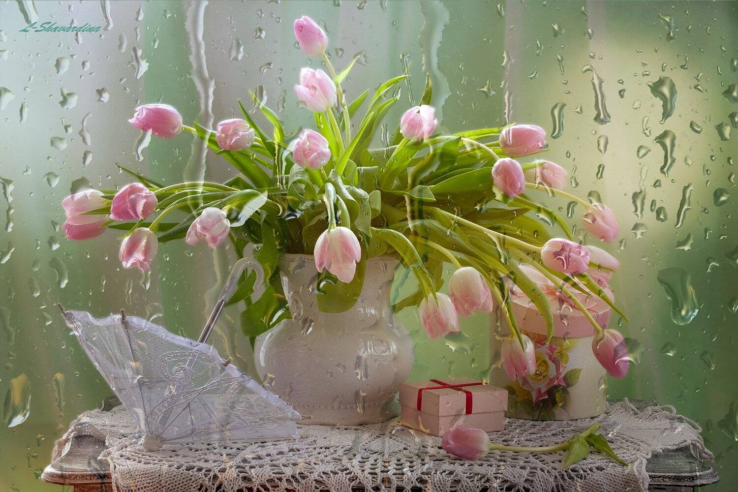 , Елизавета Шавардина