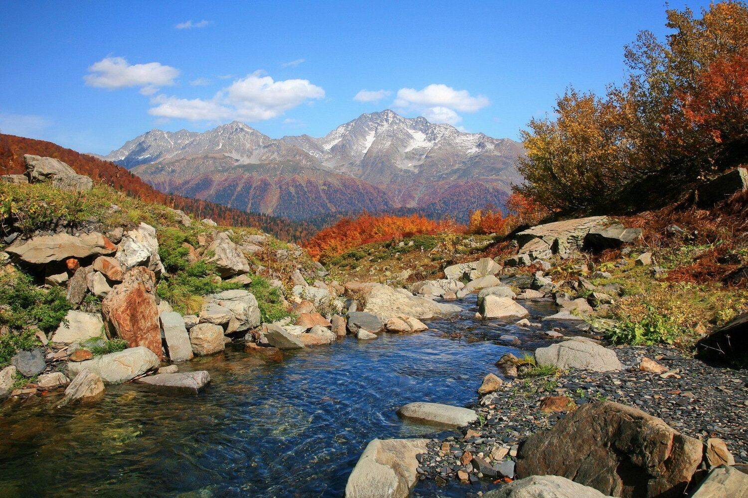река., Евгений Никишин