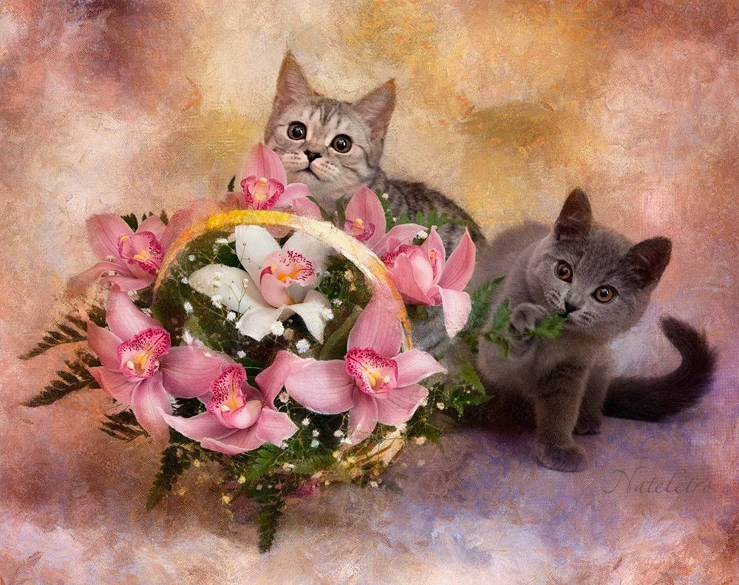 , Наталья Кузнецова (Nateletro)