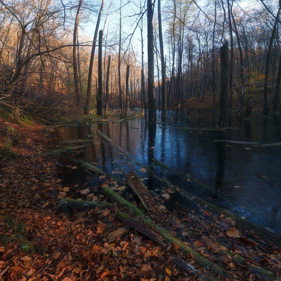 , Ярослав Тюрменко (Jaremi)