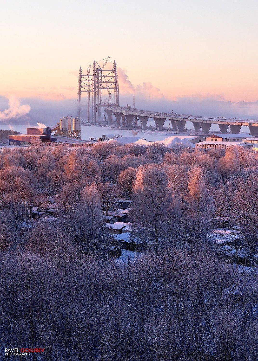 Россия, город, СПб, Питер, Петербург, ЗСД, Западный Скоростной Диаметр, зима, иней, деревья, лед, восход, утро, снег, Голубев Павел
