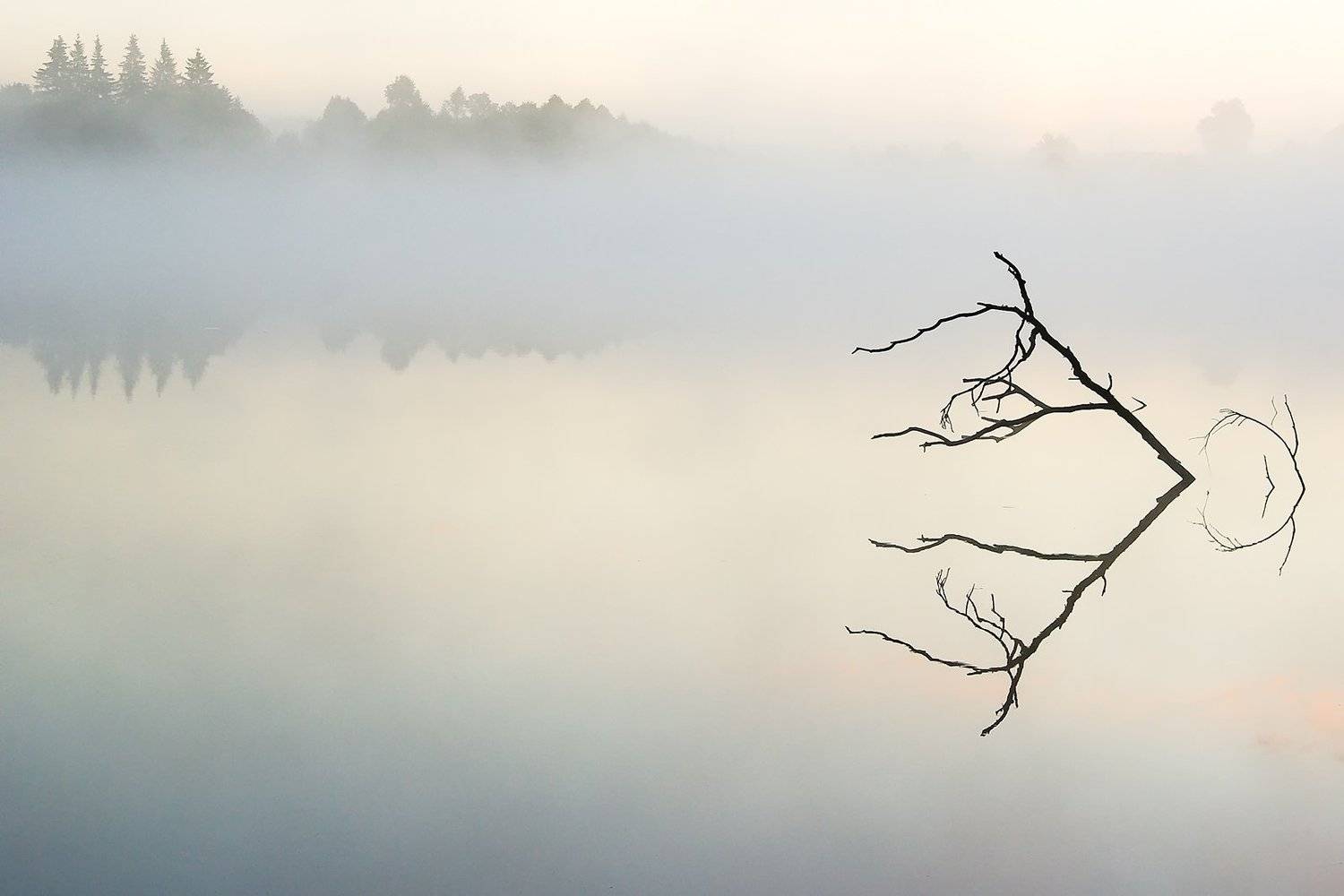 , Rimantas Bikulcius