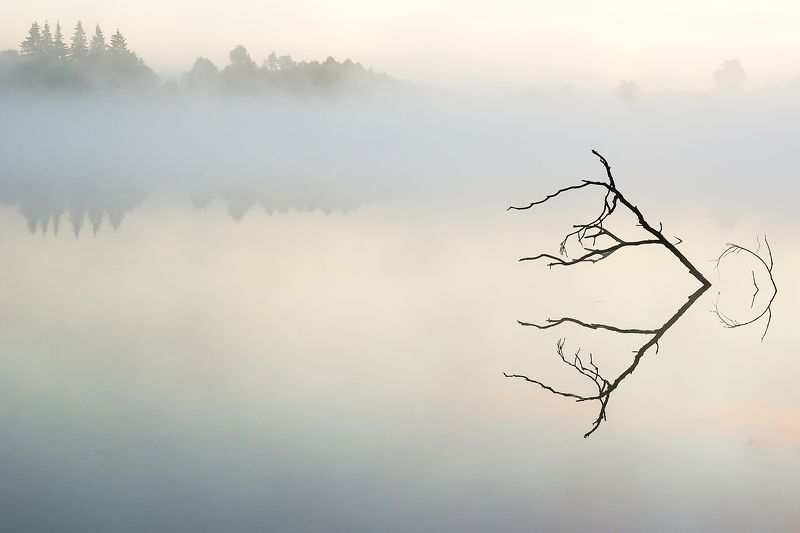 Симметрия. Почти ... фото превью