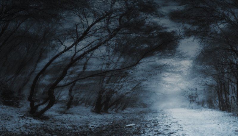 **** фото превью