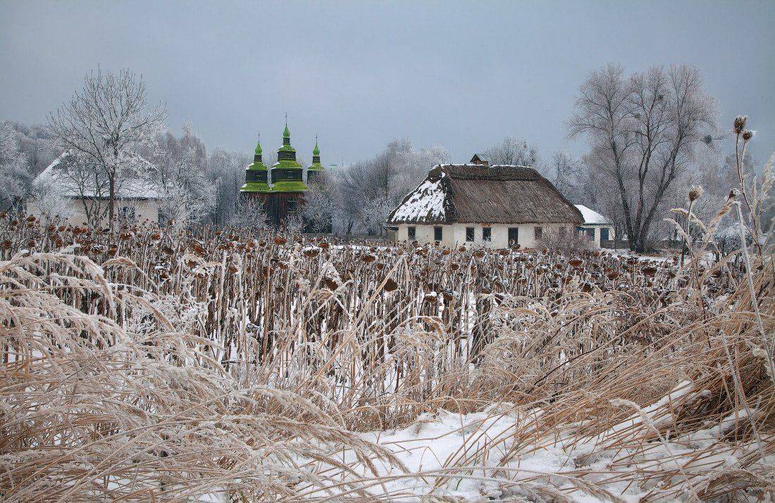 , Ярослав Тюрменко (Jaremi)