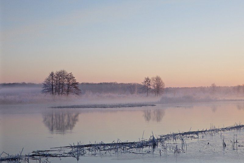 природа, река воронеж, туман после ледохода фото превью