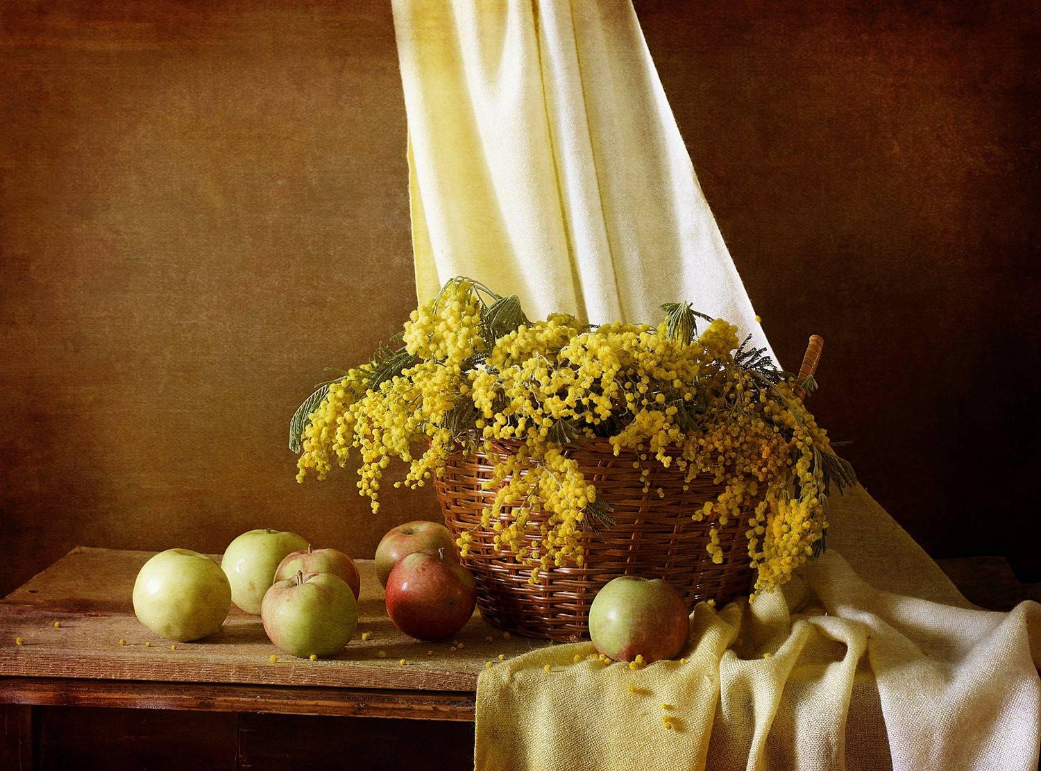 , Синегубова Ольга